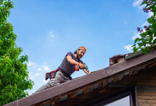 Best Asphalt Shingles Roofing  in Irmo, SC