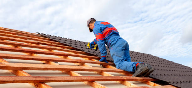 Best Rubber Roofing (EPDM, TPO)  in Irmo, SC